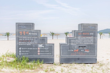 태평염생식물원 여행 추천 - 메고지고