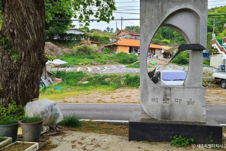 금남 백로 서식지 여행 추천 - 메고지고