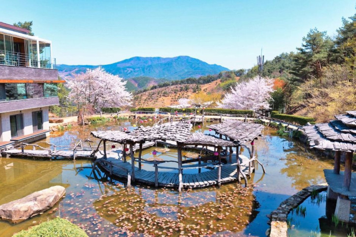 수선사 여행 추천 - 메고지고