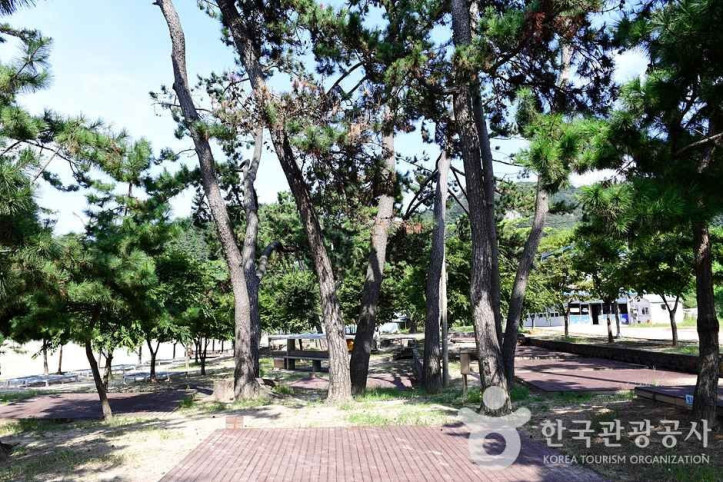 가마미해수욕장 여행 추천 - 메고지고
