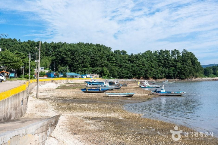 왕산포구 여행 추천 - 메고지고