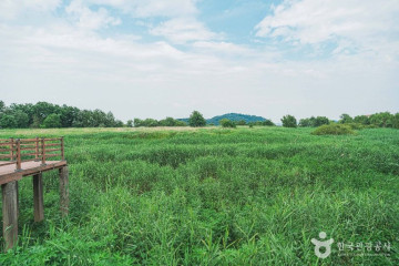 방화근린공원 여행 추천 - 메고지고