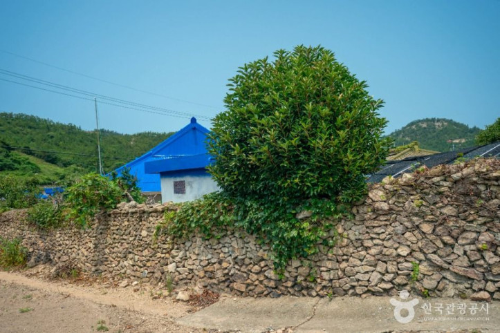비금도 내촌마을 옛 담장 여행 추천 - 메고지고