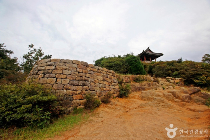 보문산 행복 숲 둘레길 여행 추천 - 메고지고