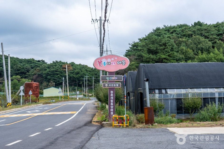 서산 꽃송아리마을 여행 추천 - 메고지고