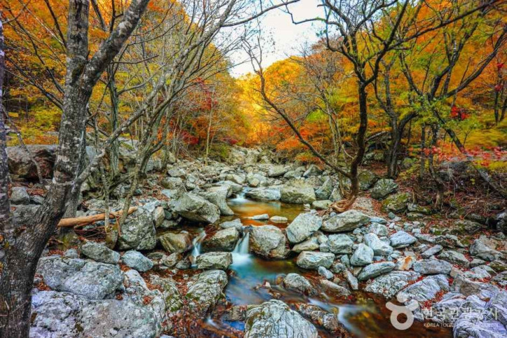 미천골계곡 여행 추천 - 메고지고