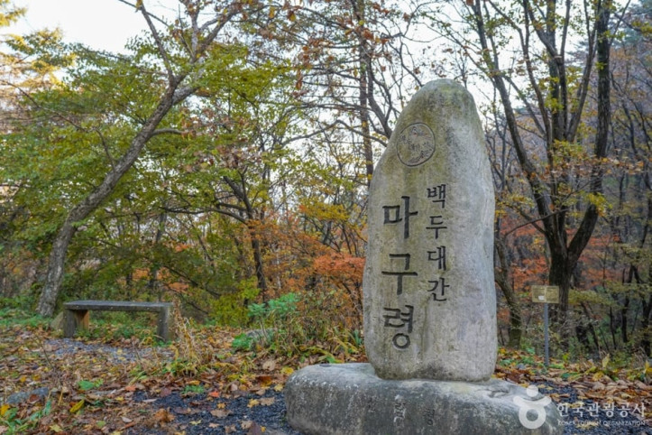 마구령·고치령 여행 추천 - 메고지고