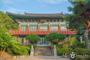 카덴96 여행 추천 - 메고지고