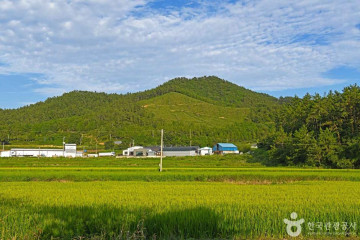 송지 대죽리 조개잡이 체험장 여행 추천 - 메고지고