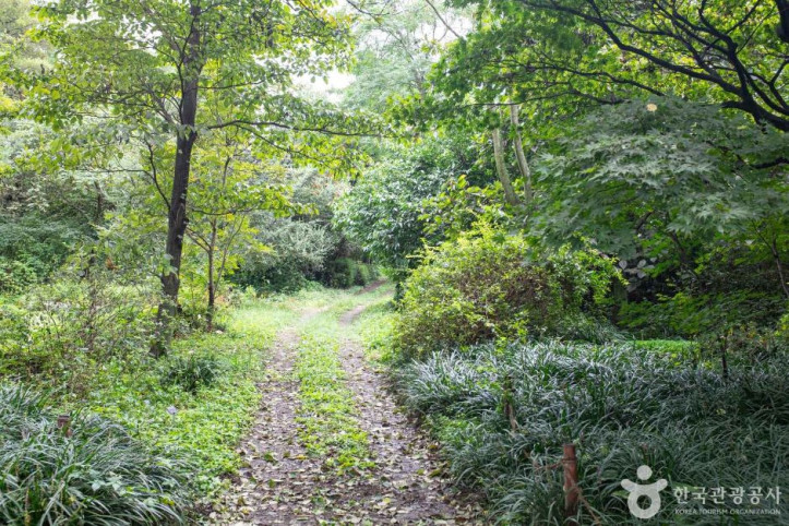 기청산식물원 여행 추천 - 메고지고
