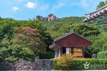 보령서원 여행 추천 - 메고지고