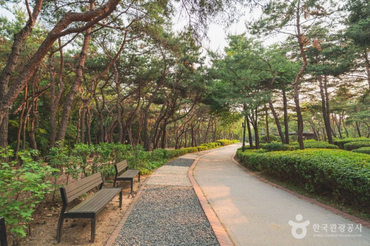 남산 야외식물원 여행 추천 - 메고지고