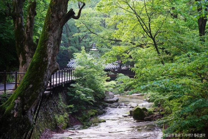 계룡산국립공원 여행 추천 - 메고지고