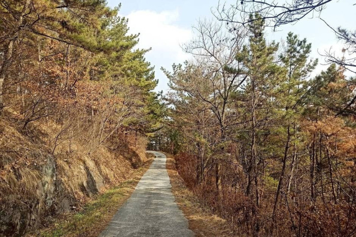 종남산(밀양) 여행 추천 - 메고지고