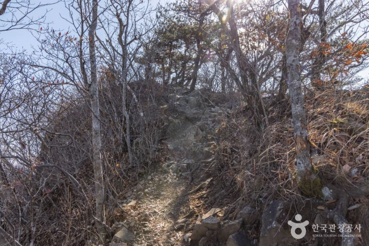 연자봉 여행 추천 - 메고지고