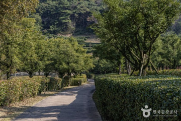 술뫼생태공원 여행 추천 - 메고지고