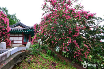 장성 황룡 전적 여행 추천 - 메고지고