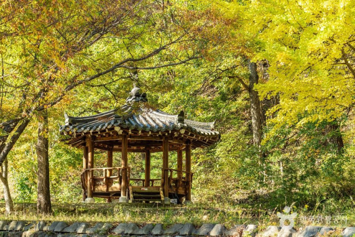 안동 가송마을 여행 추천 - 메고지고