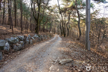 묘적사 여행 추천 - 메고지고