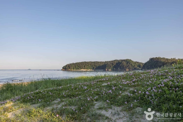 장삼포해수욕장 여행 추천 - 메고지고