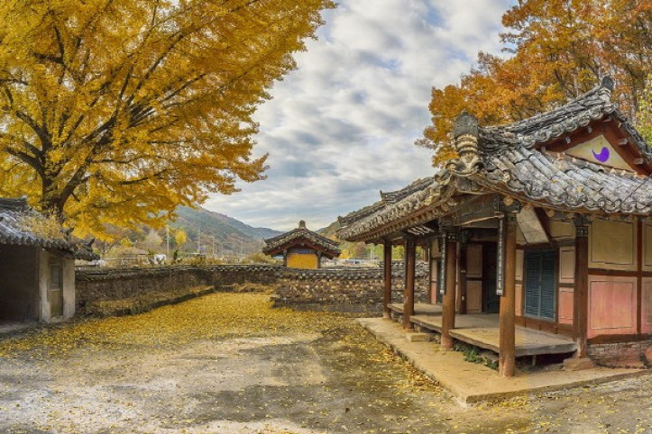 예동서원 여행 추천 - 메고지고