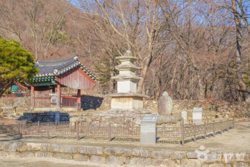 더그림 여행 추천 - 메고지고