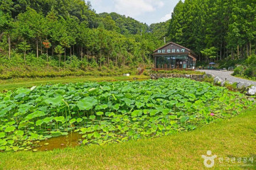 장계관광지 여행 추천 - 메고지고