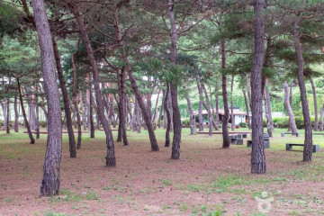 청송 사남고택 여행 추천 - 메고지고
