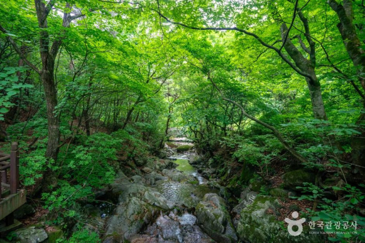 죽계구곡 여행 추천 - 메고지고