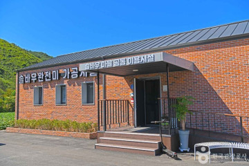 국립 용화산자연휴양림 여행 추천 - 메고지고
