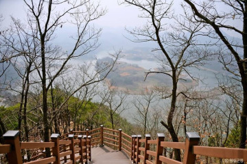 옥정호 출렁다리 및 붕어섬생태공원 여행 추천 - 메고지고