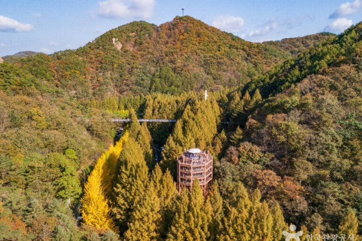 장태산자연휴양림 여행 추천 - 메고지고