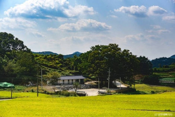 순창군 채계산 출렁다리 여행 추천 - 메고지고