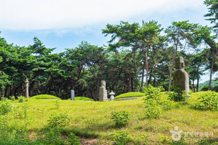 고홍건신도비 여행 추천 - 메고지고