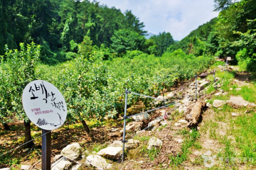 무쇠달마을 여행 추천 - 메고지고
