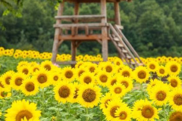 난정저수지 여행 추천 - 메고지고