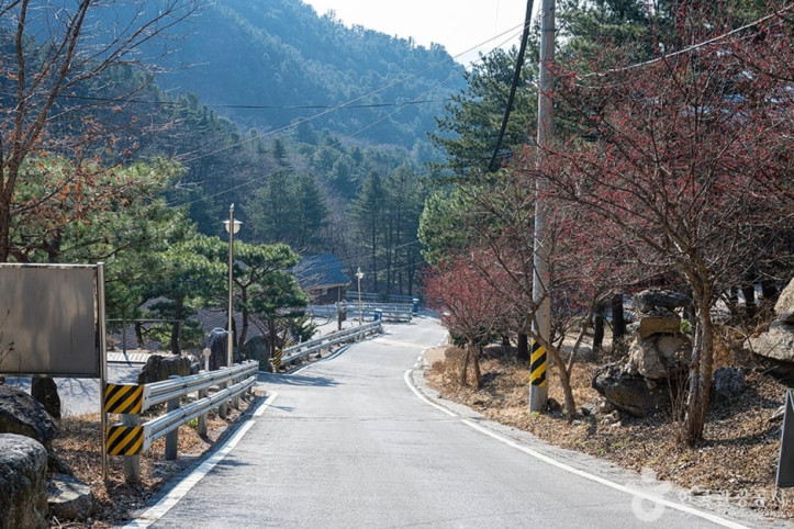 축령산자연휴양림 여행 추천 - 메고지고