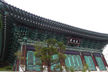 입화산자연휴양림 여행 추천 - 메고지고