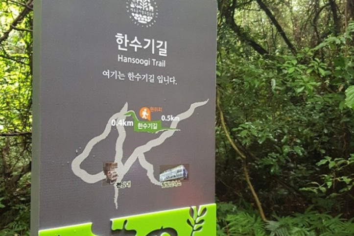 제주곶자왈도립공원 여행 추천 - 메고지고