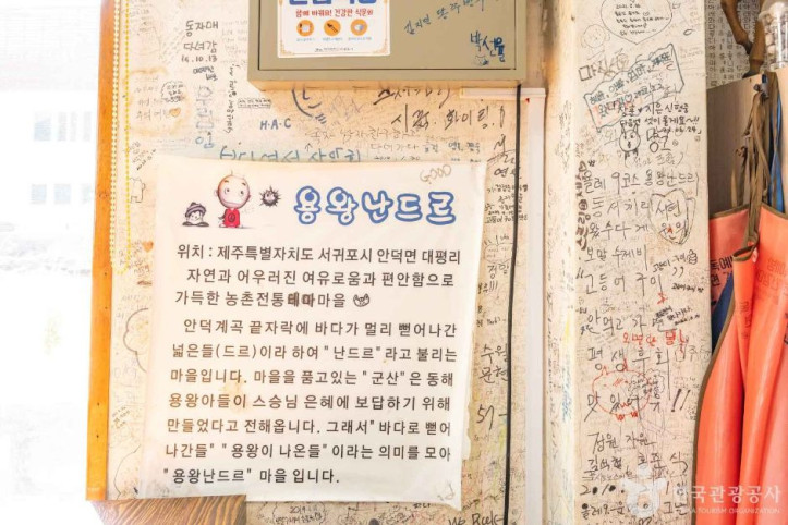 서귀포 용왕난드르마을 여행 추천 - 메고지고