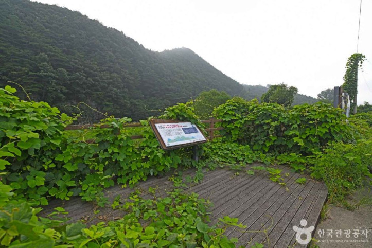 운교리 삼각주 퇴적층 여행 추천 - 메고지고