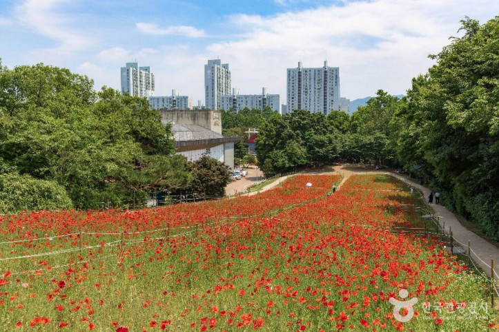 올림픽공원 들꽃마루 여행 추천 - 메고지고