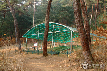 박사마을 여행 추천 - 메고지고
