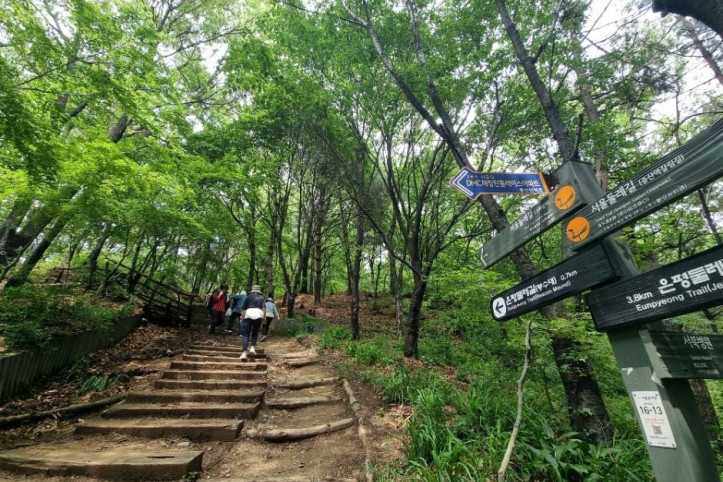 [서울둘레길 16코스] 봉산·앵봉산코스 여행 추천 - 메고지고