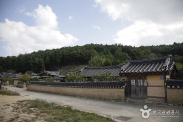 원생대 변성암 (경북 동해안 국가지질공원) 여행 추천 - 메고지고