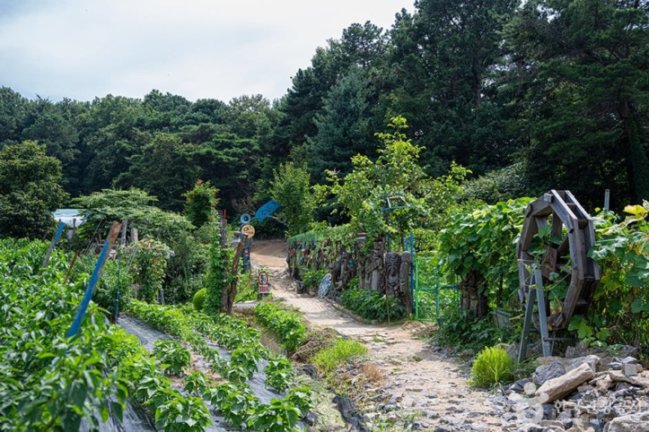 서봉산산림욕장 여행 추천 - 메고지고
