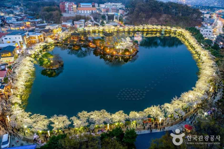 교동 연화지 여행 추천 - 메고지고