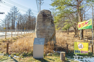 장산(영월) 여행 추천 - 메고지고