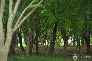 미르샘 다리 여행 추천 - 메고지고