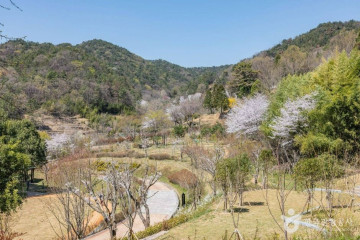 용강서원(순천) 여행 추천 - 메고지고